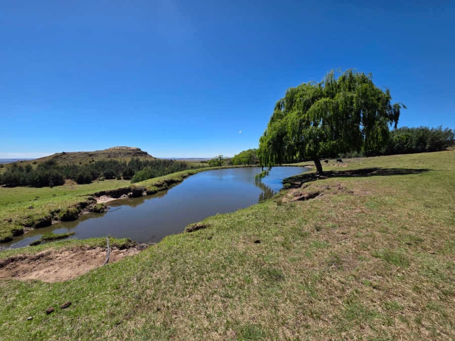 8 Bedroom Property for Sale in Bethlehem Rural Free State